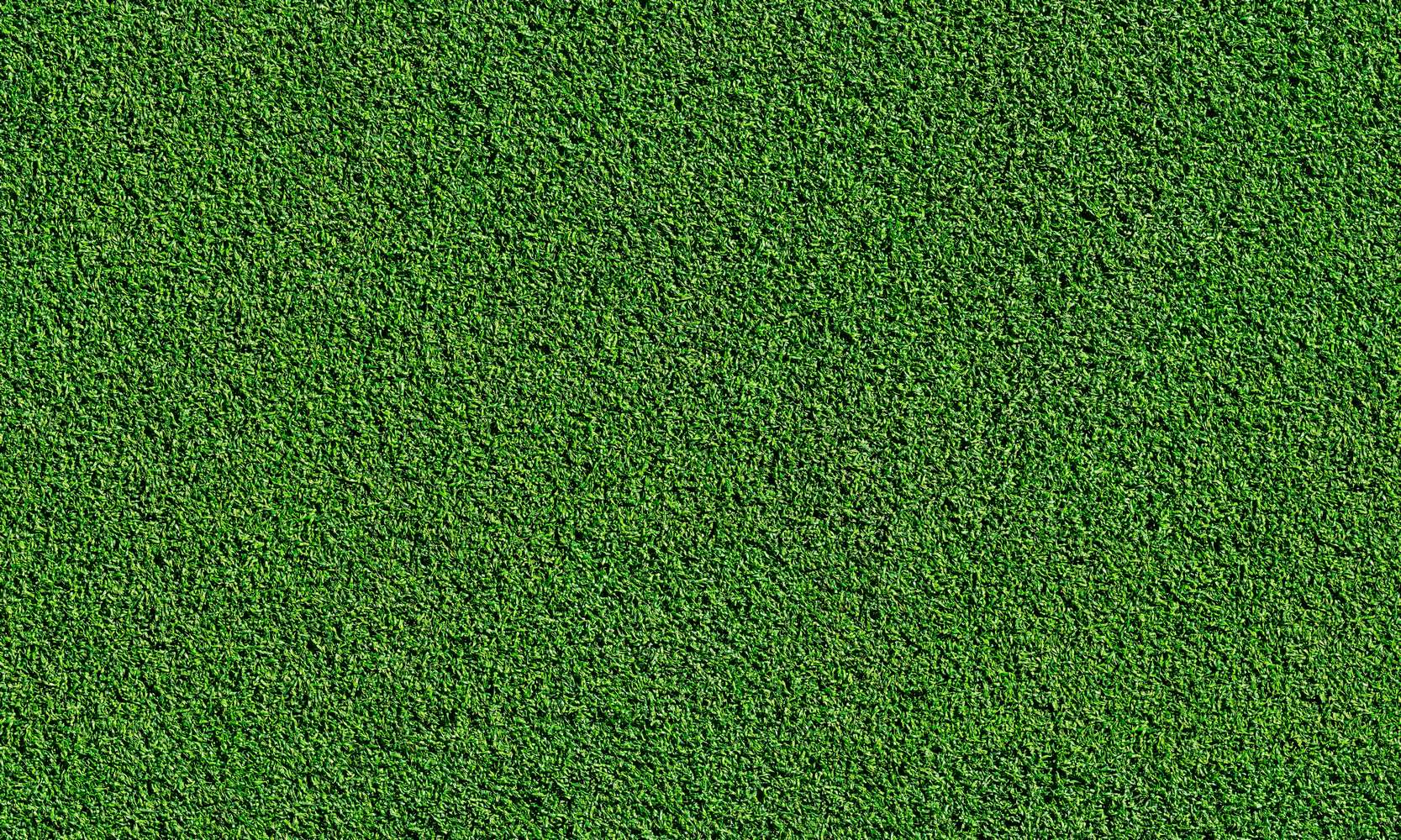 Зеленая трава v3